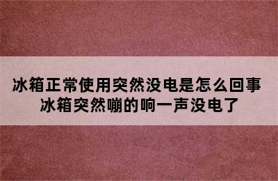 冰箱正常使用突然没电是怎么回事 冰箱突然嘣的响一声没电了